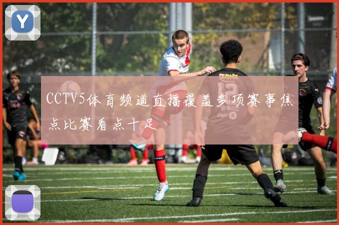 CCTV5体育频道直播覆盖多项赛事焦点比赛看点十足